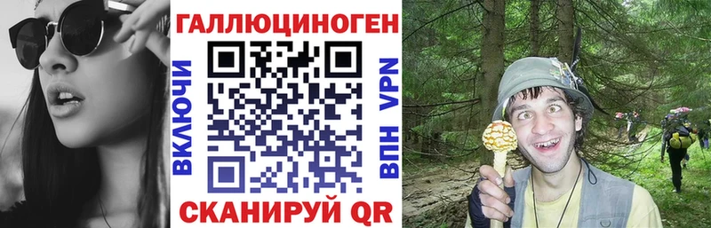 Галлюциногенные грибы прущие грибы blacksprut зеркало Ивдель как найти наркотики